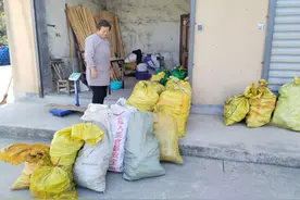 宣城旌德：鲜笋破土采收忙 村民收入“节节高”图片