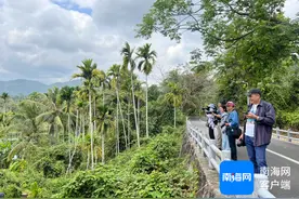 光影捕捉乡村振兴蝶变！2025年第二届海南乡村振兴摄影大赛采风活动走进三亚图片