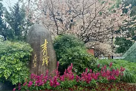 徐汇校园的限定浪漫！你能猜出这是哪所学校吗？图片