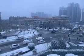 临沂多地迎来2024年首场降雪图片