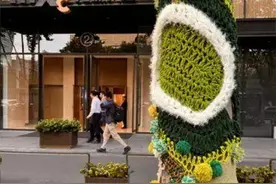 南京梧桐穿上美丽的“针织衫”！来自这所学校的创意……图片