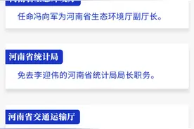 河南省政府新任免一批干部，涉及省生态环境厅、省统计局、省交通运输厅等图片
