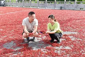 高山辣椒供不应求，全村300多户村民抢着种，湖南辣妹子撑起建始小山村火红产业图片