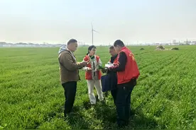 河南宝丰：人勤春来早 田间农事忙图片