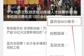 宁乡经开区接入DeepSeek大模型，AI小助手比人工客服懂得更多！图片