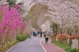 新绿迸发，花朵繁盛，来青浦环城水系公园走走图片