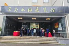 高质量发展调研行 | 割水稻像割韭菜？湖南水稻专家谈再生稻“一种两收”的高效生产模式图片