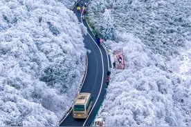 金佛山雪景引客来，周末玩雪乐翻天图片