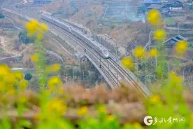 【高清组图】贵州从江：花香伴旅途图片