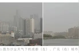 输入性沙尘“袭”川，如何防护？图片