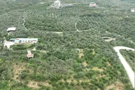 雅安市汉源县富林镇太平村：紧握“产业之笔”，紧抓项目建设 勾勒乡村振兴新图景图片