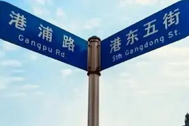 老藤：港东五街图片