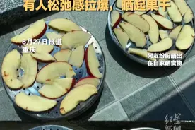 "山城"变成"火焰山"，重庆地表温度飙升到70℃，有人松弛感拉爆晒起果干，网友：重庆遍地都是熟人图片