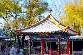 “泉”在济南过大年，怎能少了这些网红打卡点图片