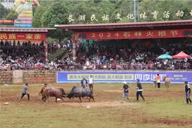 相约石林！云南火把节牛王争霸赛人气爆棚图片