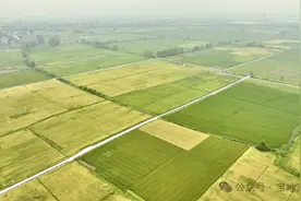 池州市贵池区秋江街道：高标准农田建设催生农业生产集约化 规模化 机械化图片