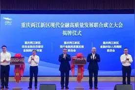 两江新区金融资产规模达到2.8万亿元 占全市三分之一图片