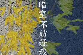 最美校园四月天丨祝你先于春天图片