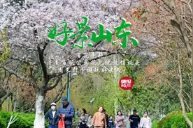 果然视频·好景山东|济南百花公园百花争艳美不胜收，打卡好去处图片