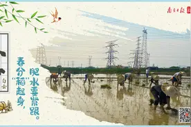 春分至、万物生，现代版“春牛图”看广州春耕忙图片