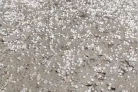 多地降雪形如“化肥” ，专家：学名“霰”，又叫软雹、雪丸，大气结构不稳定时形成图片