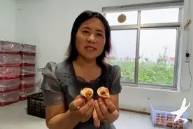 初选、腌制、蒸煮……工序满满的麻酱鸡蛋是怎么腌出来的？图片