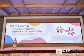 世界重要主食 马铃薯度过首个全球“生日”图片