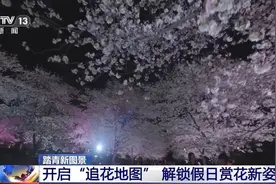 踏青“追花”、乡野观光……清明出游解锁新趋势图片
