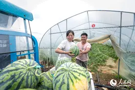 农民夫妇“上学”记图片