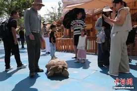 河南新密：银基动物王国游人如织 小朋友乐享暑期图片