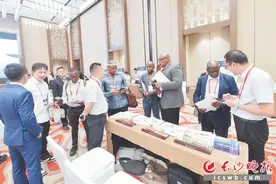 湘非合作装上“加速器”！第七届中非民间论坛中非经贸合作和民生合作对接活动在长沙举行图片