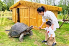 共享文旅盛宴！陕西西咸新区“火”出圈 多彩活动引爆打卡热潮图片