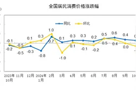 2024年10月份居民消费价格同比上涨0.3%图片