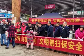 杨市镇：织密野生动植物“保护网” 筑牢森林防火“安全墙”图片