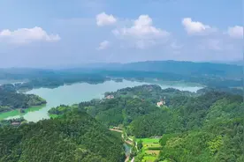 沅陵陈家滩乡：打好特色产业牌 拓宽增收致富路图片