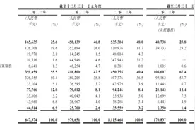 遭遇增收不增利难题 数度闯关A股IPO未果，文达通转战港股能否成功？图片