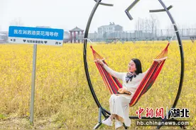 万亩油菜花迎春绽放 蔡甸消泗邀您共赴春天之约图片
