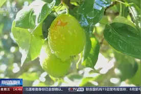 文化中国行丨被誉为“地下水长城”的坎儿井有何奥秘？图片