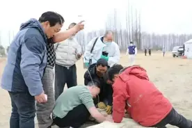 救人的“白龙”（7岁）不幸去世！心痛！图片
