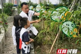 三代行医人：传承医路 共守医心图片