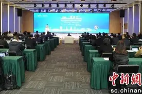 2025人才创新赛青羊区低空经济和商业航天赛举行图片