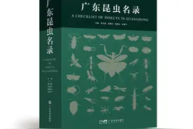 How many insects are there in Guangdong? 12,093 species revealed!图片