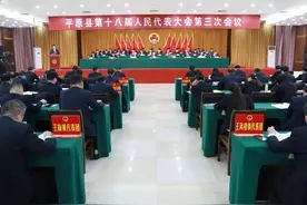 两会聚焦｜平原：推进“三大平台”建设，加快绿色低碳高质量发展图片