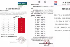 羽毛球“贵”到打不起？品牌集体涨价，有爱好者低价“囤货”图片