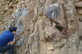 石头山成了“香饽饽” “点石成金”梦想在江西变成现实图片