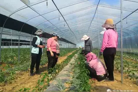 【甘快看】科技赋能春耕潮，产业振兴绘新篇——徽县春耕生产一线见闻图片