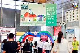 水灵灵的 “水果大会”来了！杭州人的“水果篮”会有哪些新变化？图片