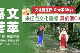 唤醒“沉睡资源”，闲置农房的华丽变身图片