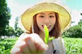00后勇闯职场① | 盛夏采茶后，我撤回了一个隐居梦图片