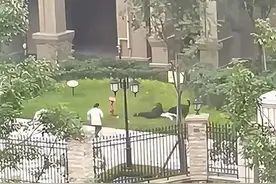 半岛连线丨如何用法律系上“消失的狗绳”？岛城三位资深律师来说“法”图片